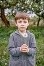 A boy with a white dandelion. Against the background of a blooming garden and green grass Royalty Free Stock Photo