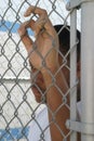 a boy in a white shirt is looking through the fence