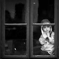 Boy on the window, laughing and drinking tea Royalty Free Stock Photo