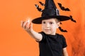 A boy in a witch costume in a black hat holds a small flashlight glowing pumpkin lamp Jack. on an orange background Royalty Free Stock Photo