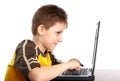 Boy working with laptop Royalty Free Stock Photo