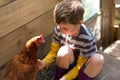 Boy (7 years) dressed in stripy shirt and gumboots pats chicken, in dappled morning light in henhouse