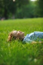 The boy of 8-9 years lies on a green lawn in park. Royalty Free Stock Photo