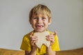 A boy, 6 years old, holds a box for milk teeth. Change of teeth Royalty Free Stock Photo