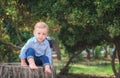 Boy 1 years old sitting on a tree stump on a sunny summer day. K