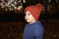 A boy of 3 years in an orange hat and a blue jacket walks in the autumn forest and looks away. Royalty Free Stock Photo