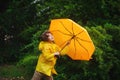 Boy of 8-9 years with a yellow umbrella against magnificent greens. Royalty Free Stock Photo