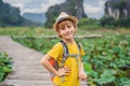 Boy in a yellow on the path among the lotus lake. Mua Cave, Ninh Binh, Vietnam. Vietnam reopens after quarantine Royalty Free Stock Photo