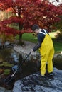 Boy working in the garden, cleaning the pond Royalty Free Stock Photo