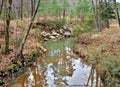 Boykin Springs Recreation Area in Texas Royalty Free Stock Photo