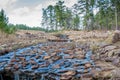 Boykin Springs Waterfalls