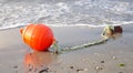 Boyko on the beach Royalty Free Stock Photo