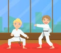 Boys Asian Martial Art Fighters, Cute Children Athletes Practicing Karate Technique, Kids Wearing Kimono Training in Gym Royalty Free Stock Photo