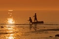 Boys catching fish Royalty Free Stock Photo