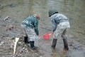 Boys Catching Frogs in the Stream Royalty Free Stock Photo