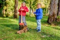 Boys destroying wood trunk with sledge hammer in the park