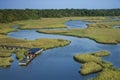 Boys on dock in marsh. Royalty Free Stock Photo