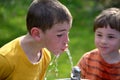 Boys Drinking Fountain Royalty Free Stock Photo