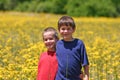 Boys in a flower Field Royalty Free Stock Photo