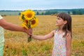 The boys hand gives the girl a bouquet of sunflowers. Children in the field. The child gives flowers