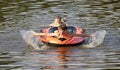 Boys Having Fun on Inflatable Rubber Boat Royalty Free Stock Photo