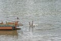 Boys jumping into Krishna River at Narsobawadi