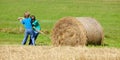 Boys Moving Bale of Hay with Stick as a Lever