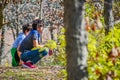 Boys Observing Nature in Woods Royalty Free Stock Photo