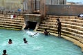 Boys play and bathe in Keerimalai fresh water spring tank by ocean water Jaffna Sri Lanka