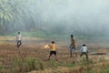 Boys play cricket in the paddy fields