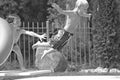 Boys Playing in the Pool