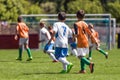 Boys playing in a soccer match. Football youth players kicking football ball in sunny day Royalty Free Stock Photo