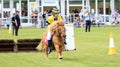 Small young children racing on shetland ponies