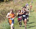 Boys racing on a grass fields downhill during a cross country 5K race Royalty Free Stock Photo