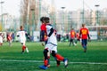 Boys in red and blue sportswear plays football on field, dribbles ball. Young soccer players with ball on green grass. Royalty Free Stock Photo