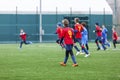 Boys in red and blue sportswear plays football on field, dribbles ball. Young soccer players with ball on green grass. Royalty Free Stock Photo