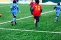 Boys in red and blue sportswear plays soccer on green grass field. Youth football game. Children sport competition, kids plays