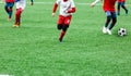 Boys in red and white sportswear plays soccer on green grass field. Youth football game. Children sport competition, Royalty Free Stock Photo