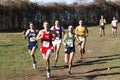 Boys running a cross country 5K race downhill Royalty Free Stock Photo