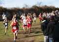 Boys running downhill during a cross country race Royalty Free Stock Photo