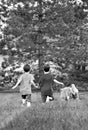 Boys Running with Their Dog Royalty Free Stock Photo