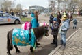 The boys stared at the elegant pony for riding, under the supervision of a girlon the background of a police car.