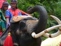 Boys in Thai Ancient Costumes riding an Elephant