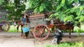 Boys under trees with Horse and cart, traditional transport, Myanmar