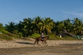 The boys walk with their horses in the sand on the beach.