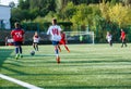 Boys in white and blue sportswear plays football on field, dribbles ball. Young soccer players with ball on green grass. Training, Royalty Free Stock Photo