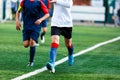 Boys in white and blue sportswear plays football on field, dribbles ball. Young soccer players with ball on green grass. Royalty Free Stock Photo