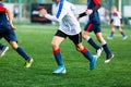 Boys in white and blue sportswear plays football on field, dribbles ball. Young soccer players with ball on green grass. Training Royalty Free Stock Photo