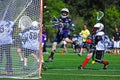 Boys Youth Lacrosse check Royalty Free Stock Photo