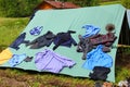 The boyscout tent in a field with clothes that dry